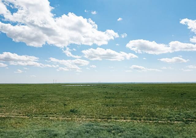 現在の画像に代替テキストがありません。ファイル名: 91719.jpg